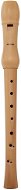 HOHNER B9560 - Recorder Flute