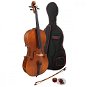 Hidersine 3182AG Cello Set Vivente 4/4 - Cello