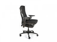 HERMAN MILLER Embody Black - Office Chair