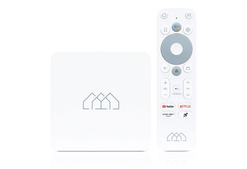 Homatics Box R Lite 4K Android TV - Multimediální centrum - Hlavní obrázek