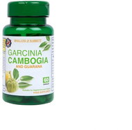 Holland & Barrett Garcinia Cambogia a Guarana, 60 kapslí - Guarana