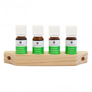 EMENDO OY Sauna essence PREMIUM, 4 × 10 ml, natural holder - Sauna Scent