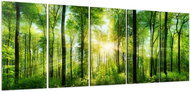 LIOX Painting sunny green forest, 125 × 50 cm, five-piece - Painting