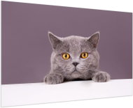 LIOX Picture of a grey cat, 90 × 60 cm - Painting