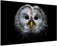 LIOX Owl on black background, 60 × 40 cm - Painting