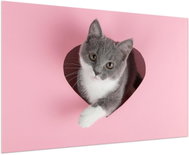 LIOX Picture of a cat on a pink background, 60 × 40 cm - Painting