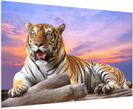 LIOX Painting of a tiger at sunset, 40 × 25 cm - Painting