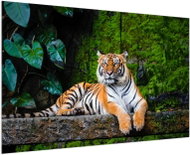 LIOX Painting of a lying tiger, 40 × 25 cm - Painting
