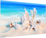 LIOX Painting of seashells on the coast, 100 × 65 cm - Painting