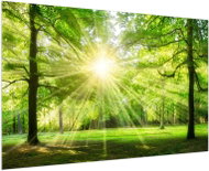 LIOX Painting green forest in summer, 90 × 60 cm - Painting