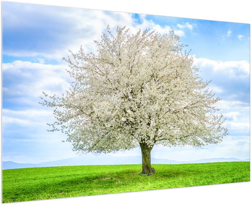 LIOX Painting cherry on a green meadow, 40 × 25 cm - Painting - Main image