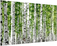 LIOX Painting birch forest, 90 × 60 cm - Painting