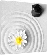 LIOX White picture of water lily, 100 × 100 cm - Painting