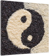 LIOX Yin yang painting, 80 × 80 cm - Painting