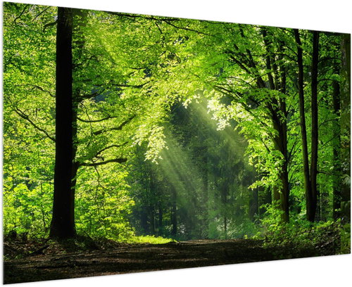 LIOX Painting of a path through a forest, 40 × 25 cm - Painting - Main image