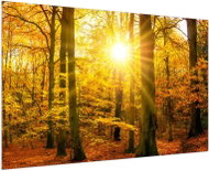 LIOX Painting sunny autumn forest, 60 × 40 cm - Painting