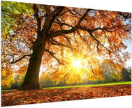 LIOX Painting of a tree in sunset, 90 × 60 cm - Painting