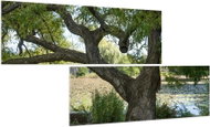 LIOX Heart-shaped tree branch painting, 120 × 60 cm, two-piece - Painting