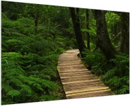 LIOX Painting of a path through the rainforest, 100 × 65 cm - Painting