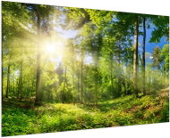 LIOX Painting sunny forest, 90 × 60 cm - Painting
