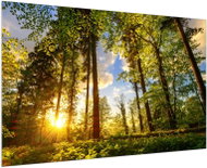 LIOX Painting sunset in the forest, 90 × 60 cm - Painting
