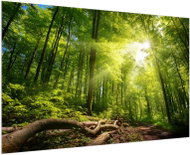 LIOX The magic of the forest, 100 × 65 cm - Painting