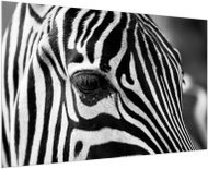 LIOX Black and white painting detail zebra, 60 × 40 cm - Painting