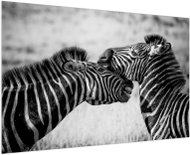 LIOX Black and white painting of a zebra in love, 40 × 25 cm - Painting