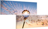 LIOX Painting dandelion with dew drops, 160 × 80 cm, two-piece - Painting