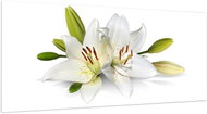 LIOX Painting on canvas white lilies, 80 × 35 cm - Painting