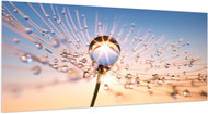 LIOX Painting of a dandelion with dewdrops, 45 × 20 cm - Painting