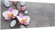 LIOX Picture of orchid on grey background, 60 × 25 cm - Painting