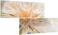 LIOX Dandelion painting, 80 × 40 cm, two-piece - Painting