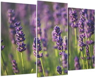 LIOX Painting of lavender blossoms, 120 × 80 cm, three-piece - Painting