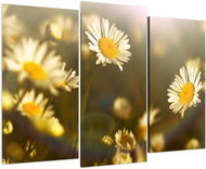 LIOX Daisy in sunset, 75 × 50 cm, three-piece - Painting