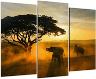 LIOX Elephants in safari, 120 × 80 cm, three-piece - Painting