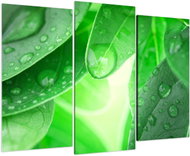 LIOX Painting drops on leaves, 75 × 50 cm, three-piece - Painting