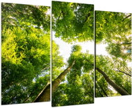 LIOX Tree crown painting, 75 × 50 cm, three-part - Painting