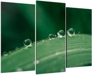 LIOX Macro image of a drop on grass, 60 × 40 cm, three-piece - Painting