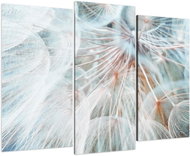 LIOX Dandelion in detail, 120 × 80 cm, three-piece - Painting