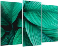 LIOX Painting green leaves, 90 × 60 cm, three-piece - Painting