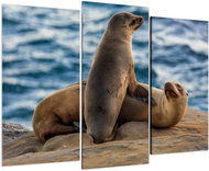 LIOX Seals lying on the ground, 120 × 80 cm, three-piece - Painting