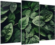 LIOX Painting green room leaves, 120 × 80 cm, three-piece - Painting