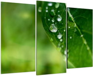 LIOX Macro image of green leaf, 60 × 40 cm, three-piece - Painting