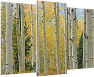 LIOX Painting yellow birch forest, 120 × 80 cm, three-part - Painting