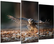 LIOX Painting wingspan, 75 × 50 cm, three-piece - Painting
