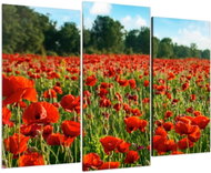 LIOX Painting of a field of poppies, 60 × 40 cm, three-part - Painting