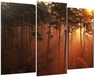LIOX Painting west in the treetops, 75 × 50 cm, three-piece - Painting