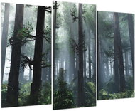 LIOX Tropical forest painting, 60 × 40 cm, three-piece - Painting