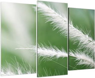 LIOX Macro feather painting, 120 × 80 cm, three-part - Painting